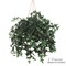 2-Pack Mini English Ivy Plant - 274 Realistic Silk Leaves, Perfect for Home & Garden Decor by Floral Home®